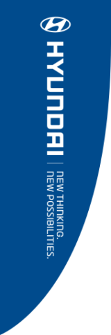 Blue, Hyundai New Thinking Premier Flag