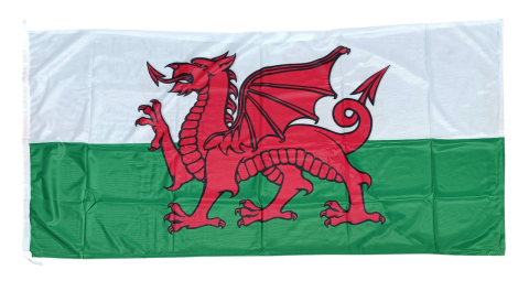 Wales National Flag