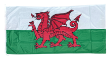 Wales National Flag