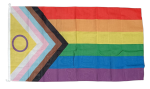 Progress Pride Flag 180x90cm